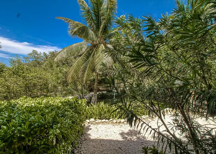 B103 Mara Laguna * San Pedro (Ambergris Caye)